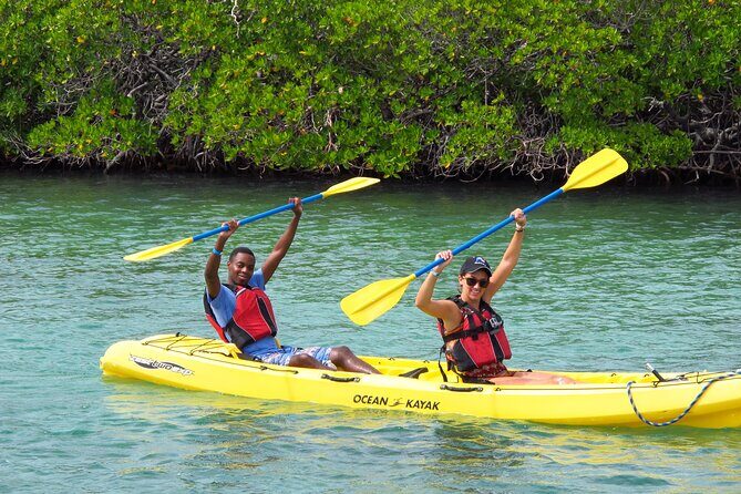 St Thomas Shore Excursion: Mangrove Lagoon Kayak and Snorkel Tour - In closing