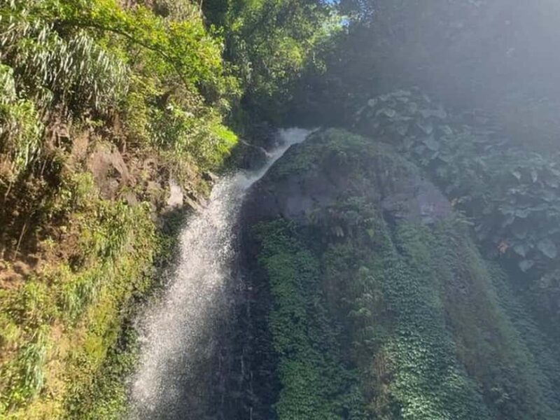 St. Vincent: Dark View Falls Tour - Good To Know