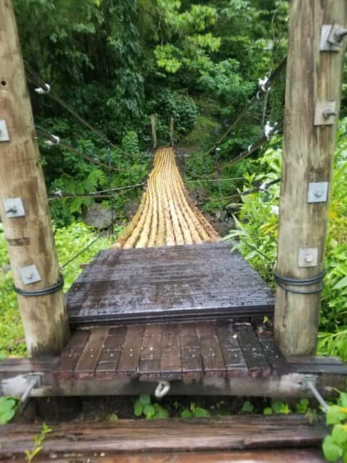 St. Vincent: Dark View Falls Tour - An Overview of the Dark View Falls Tour