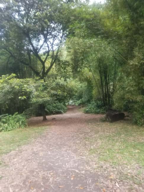 St. Vincent: Dark View Falls Tour - FAQs