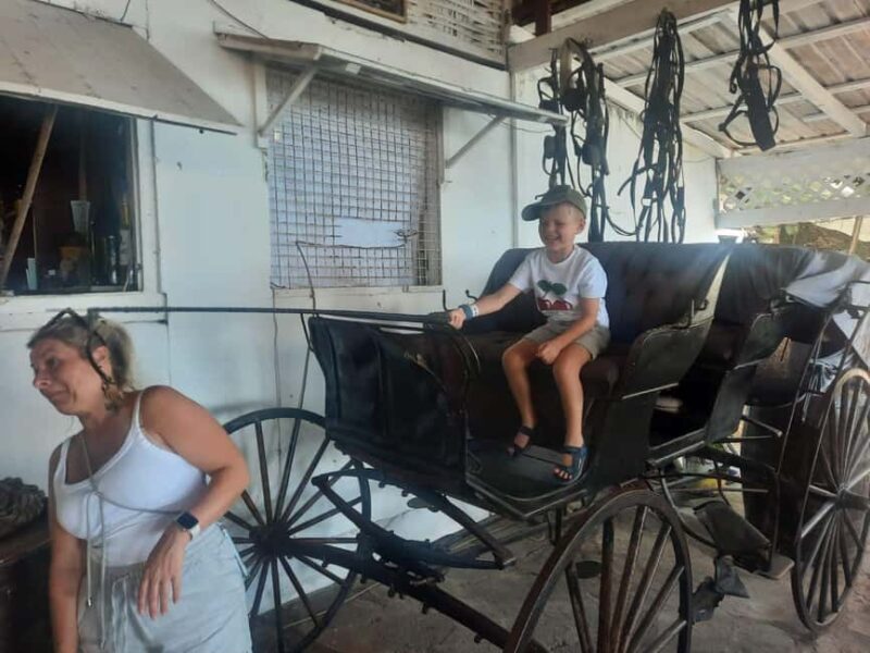 St. Vincent: Leeward Island Tour with Dark View Falls - Exploring the Itinerary: What You Can Expect