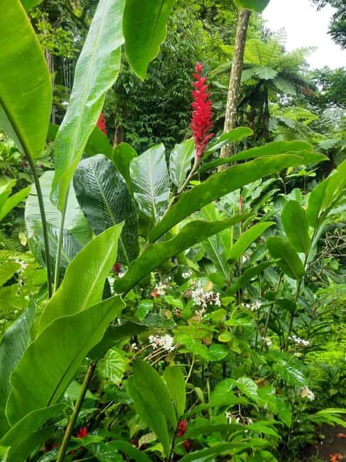 St Vincent: Montreal Gardens, Botanical Gardens & Fort Tour - The Value of This Tour