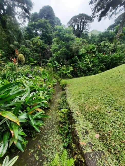 St Vincent: Montreal Gardens, Botanical Gardens & Fort Tour - Who This Tour Is Best For