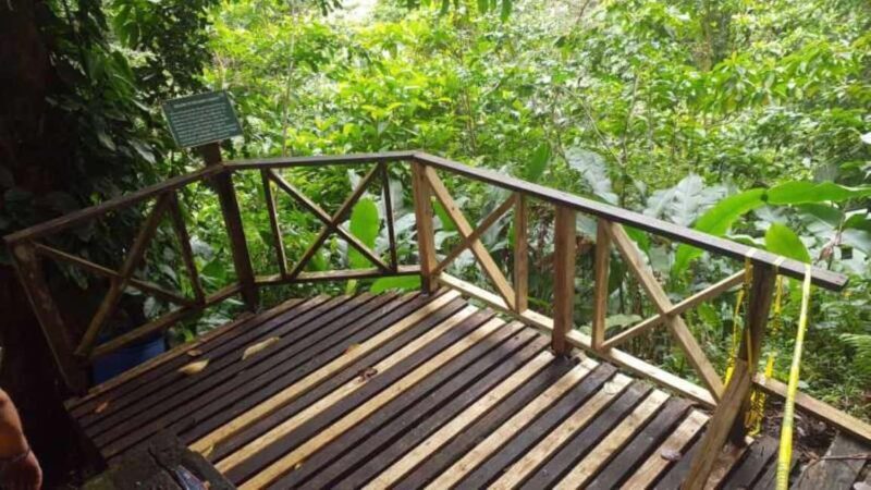 St. Vincent: Vermont Nature Trail - Good To Know