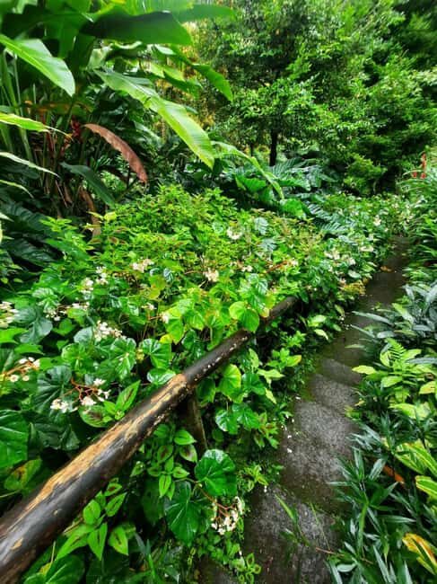 St. Vincent: Vermont Nature Trail - What Is the Vermont Nature Trail Tour?