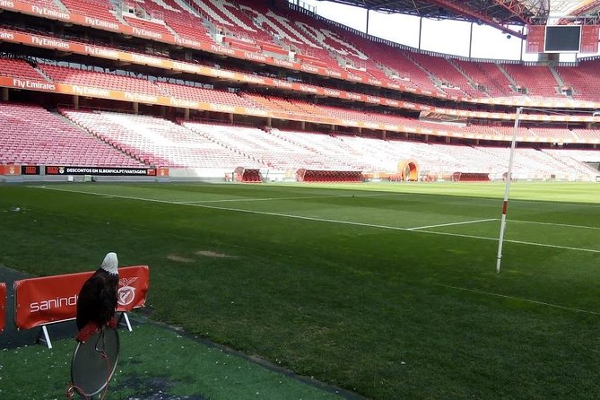 Stadium of Benfica Experience and Museum Visiting - Interactive Museum Experience