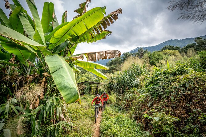 Stairway to Heaven Trail Mountain Biking Tour Chiang Mai - Tour Details