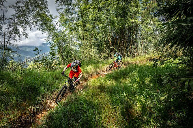 Stairway to Heaven Trail Mountain Biking Tour Chiang Mai - Traveler Reviews