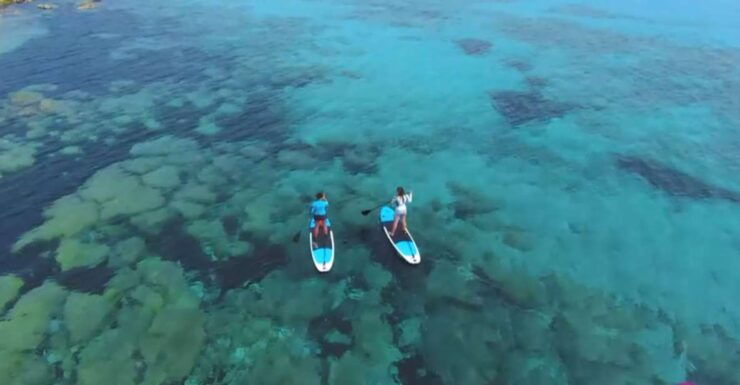 Stan Up Paddle Tour - Tour Details