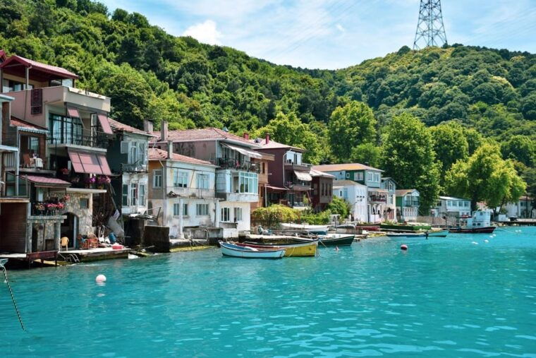 stanbul: Afternoon Bosphorus and Black Sea Cruise - The Food and Drink Experience