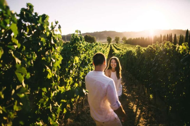 Stancija Collis: A Private Winery adventure in Rovinj - Discover the Charm of Croatia’s Istrian Vineyards with Stancija Collis