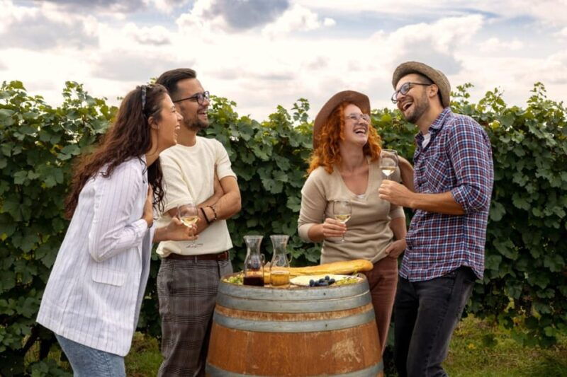 Stancija Collis: A Winery adventure in Rovinj - An Authentic Croatian Winery Experience