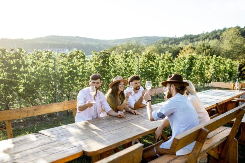 Stancija Collis: A Winery adventure in Rovinj - Scenic Views and the Rural Charm