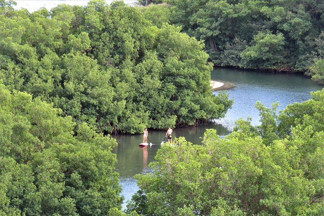 Stand Up Paddle Adventure in Guadeloupe - Good To Know