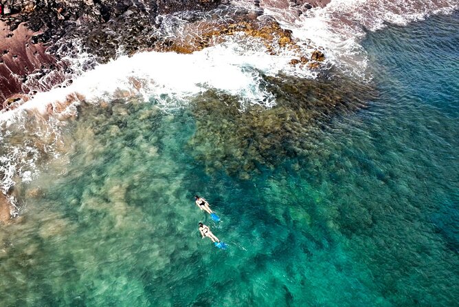 Stand up Paddle and Snorkeling Lesson in Playa Blanca - Pricing, Terms, and Copyright Information
