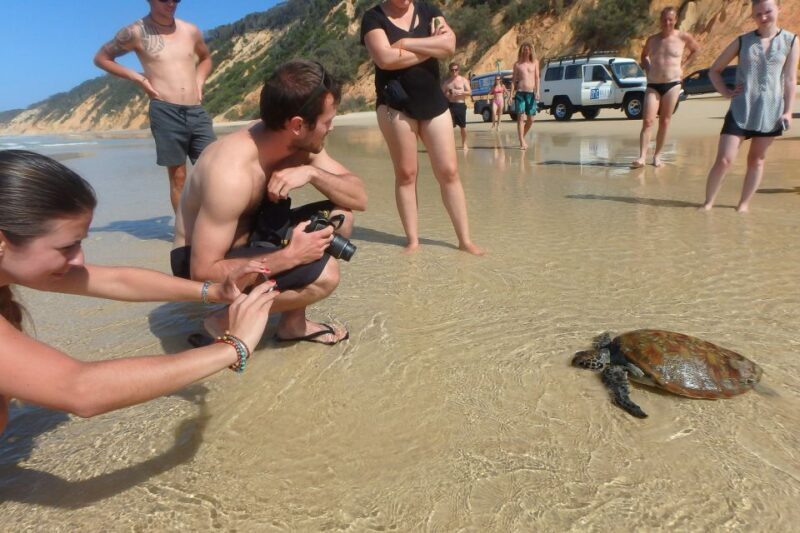 Stand Up Paddle at Double Island Point + 4x4 Beach Drive - Who Is This Tour Best For?