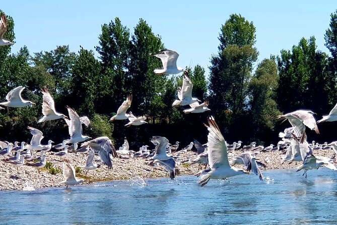 Stand up Paddle at Skadar Lake and Hiking From Valbona to Theth in 4 Days - Accommodation Information