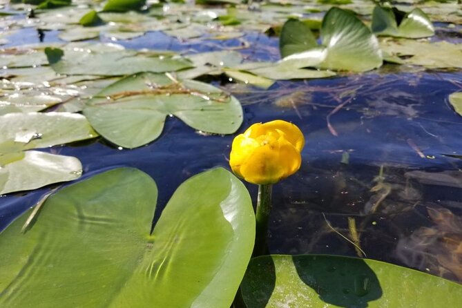 Stand up Paddle at Skadar Lake and Hiking From Valbona to Theth in 4 Days - Safety Guidelines