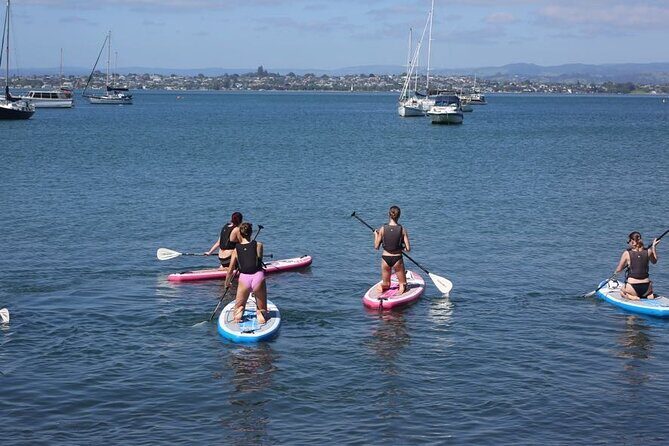 Stand Up Paddle Board Adventure in Mount Maunganui - The Itinerary Breakdown