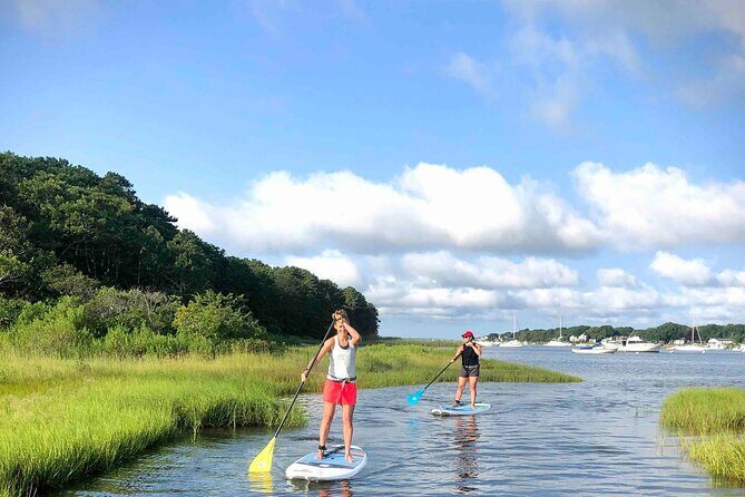 Stand Up Paddle Board Ice Cream Boat Adventure - What Is the Stand Up Paddle Board Ice Cream Boat Adventure?