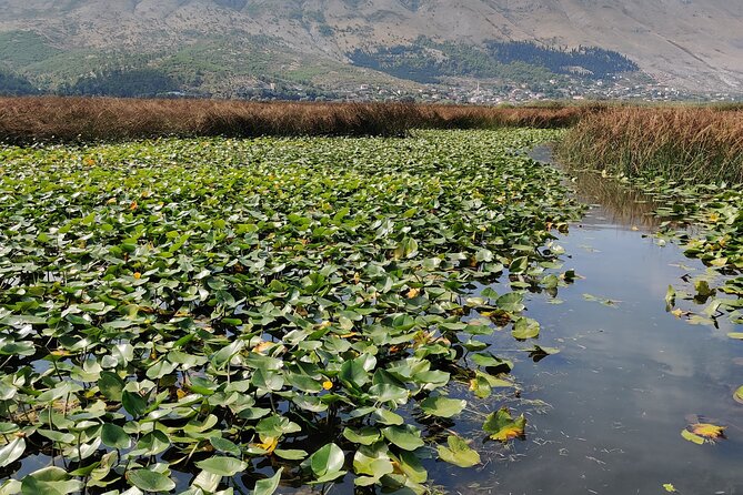 Stand Up Paddle Board or Kayak Rental in Shkodër - Equipment and Instructions