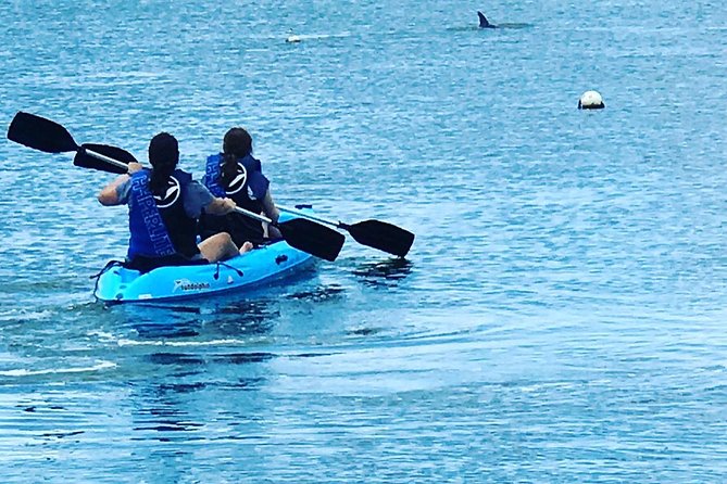 Stand Up Paddle Board Rental - Overview and Inclusions