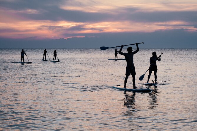 Stand Up Paddle Boarding Adventure in Pula - The Sum Up
