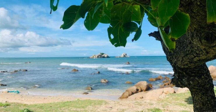 Stand Up Paddle Boarding in Trincomalee - Activity Details