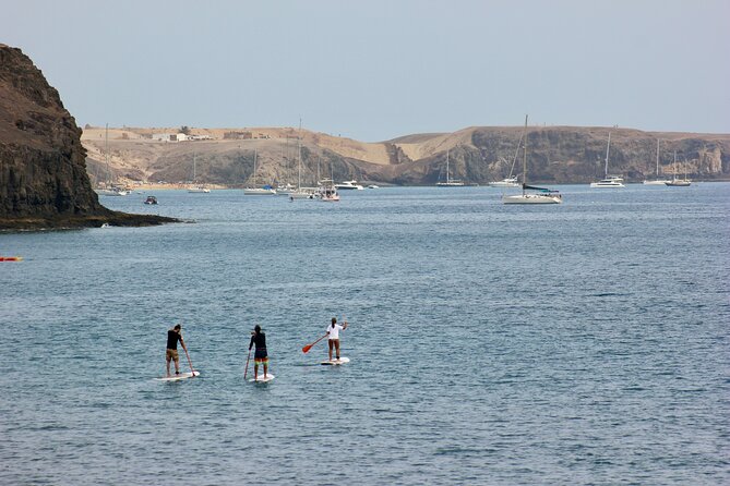 Stand Up Paddle Boarding Lesson in Playa Flamingo - Common Questions