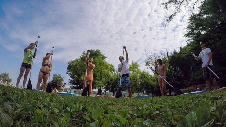 Stand up Paddle Course on the Slovenian Coast - Experience Highlights