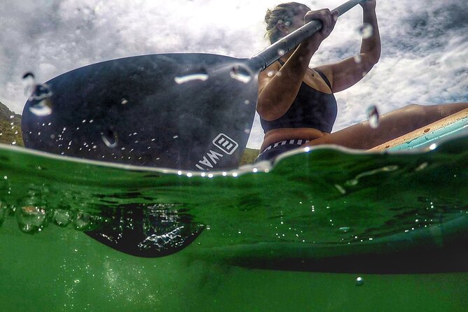 Stand up Paddle Experience at Lagos Do Sabor - Spot Various Bird Species