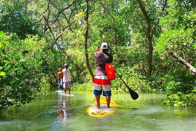 Stand Up Paddle Lesson Bali with Professional Instructor - What Makes This Tour Stand Out