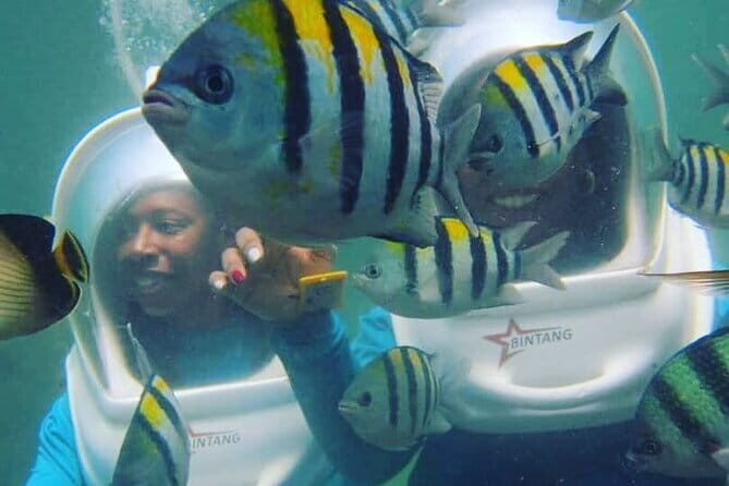 Stand Up Paddle Lesson Bali with Professional Instructor - Overall Value and Who Its Best For