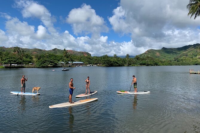 Stand Up Paddle Rental- Wailua River to Secret Falls - The Sum Up