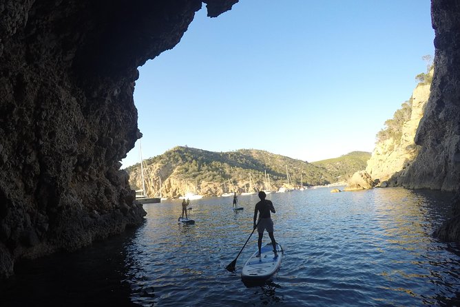 Stand Up Paddle Surf Sunset Tour - What To Expect