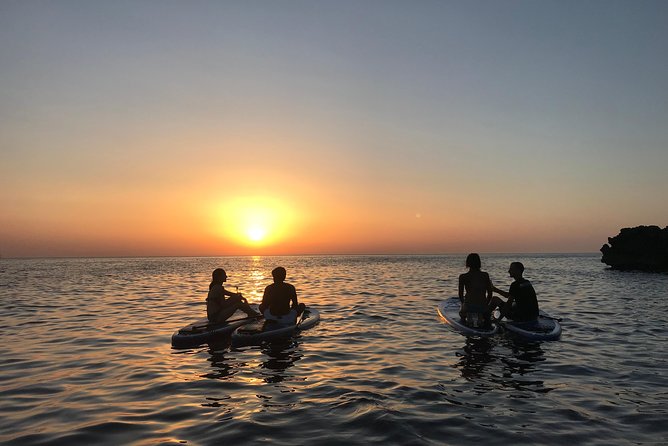 Stand Up Paddle Surf Sunset Tour - Additional Info