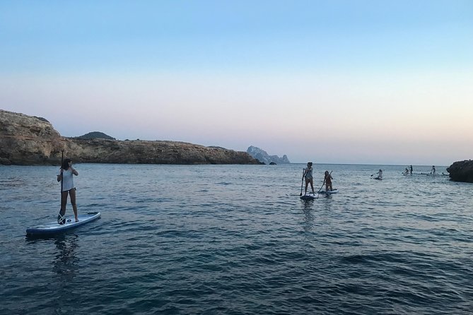 Stand Up Paddle Surf Sunset Tour - Frequently Asked Questions