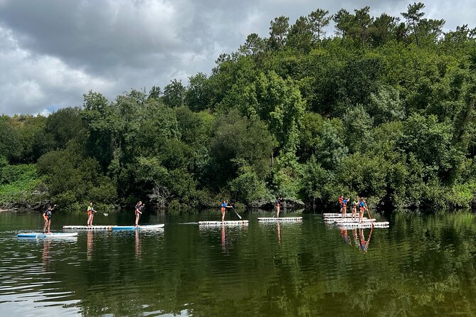 Stand Up Paddle Tour - Reviews and Ratings