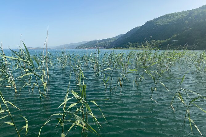 Stand-Up-Paddle Tour on Lake Ohrid - Tour Inclusions