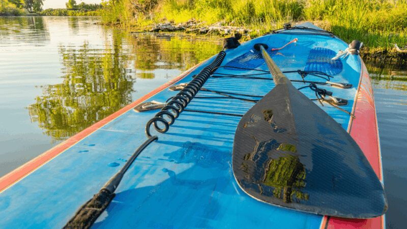 Stand-Up Paddle Tour on the River Vez with guide - Who Should Book This Experience?
