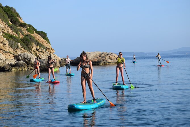 Stand Up Paddle With Dolphins - Frequently Asked Questions