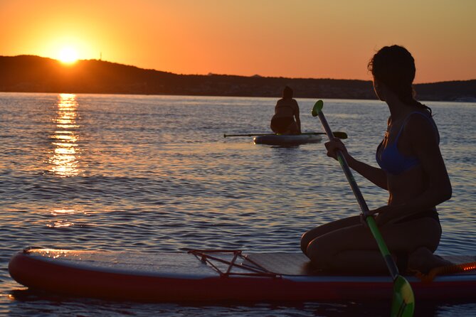 Stand Up Paddle With Dolphins - The Sum Up