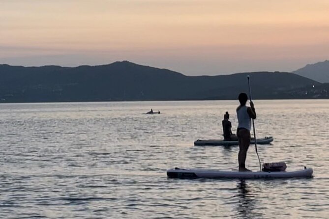 Stand up Paddle With Dolphins Experience Sunset and Aperitif - Additional Information