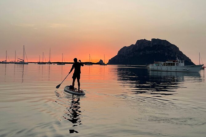 Stand up Paddle With Dolphins Experience Sunset and Aperitif - Reviews and Pricing