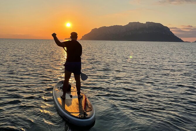 Stand up Paddle With Dolphins Experience Sunset and Aperitif - Directions