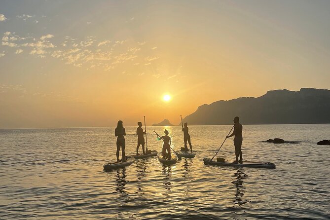 Stand up Paddle With Dolphins Experience Sunset and Aperitif - The Sum Up