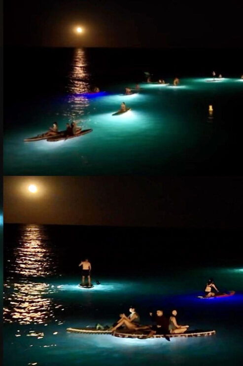 Stand up Paddle With Professional Lights in Barcelona - Booking Information