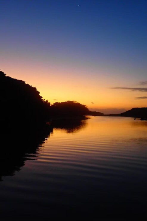 Stand Up Paddleboard: Amazing Sunrise at Mangrove River - Highlights of the Sunrise Adventure
