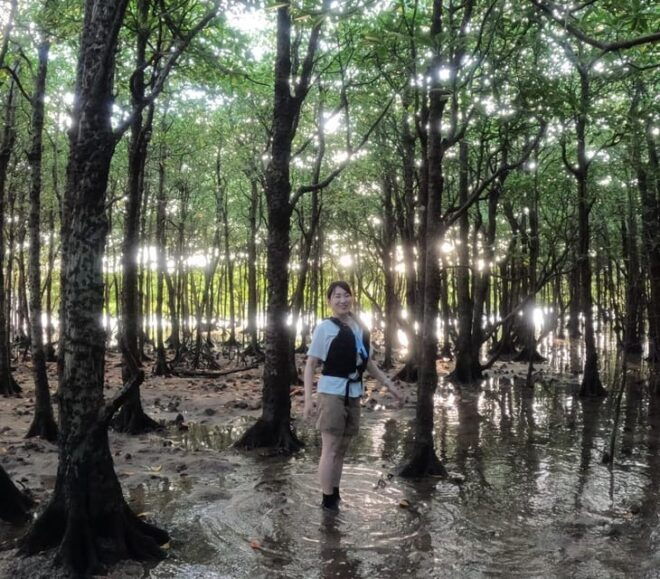 Stand Up Paddleboard: Amazing Sunrise at Mangrove River - What to Expect on Your Trip