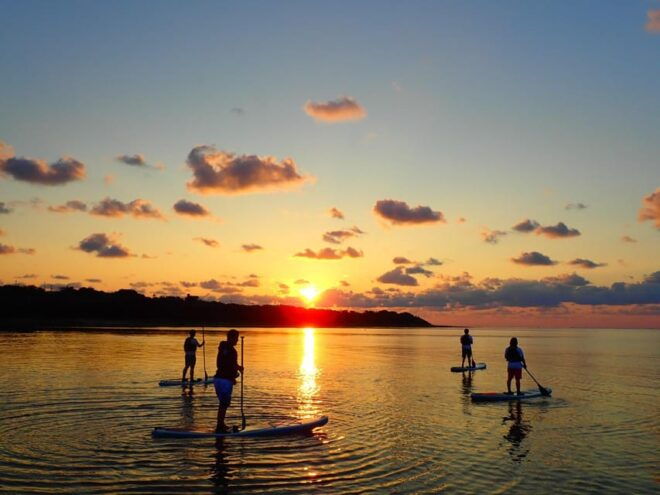 Stand Up Paddleboard: Amazing Sunrise at Mangrove River - Equipment and Safety Information